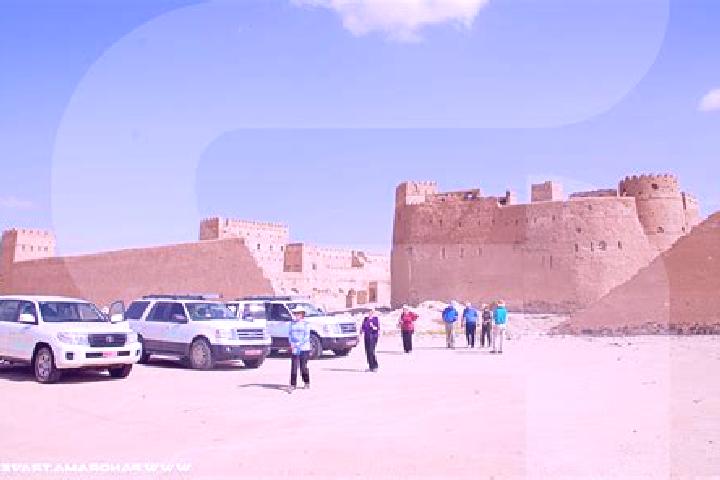Escorts Barka , Oman — Local Companions