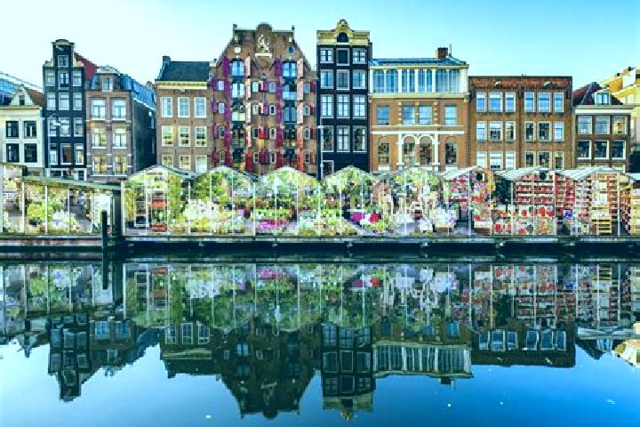 Escorts Barneveld, Netherlands — Local Companions