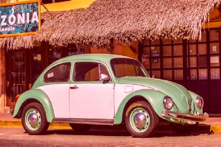 Escorts Barrio el Boncho, Mexico — Local Companions