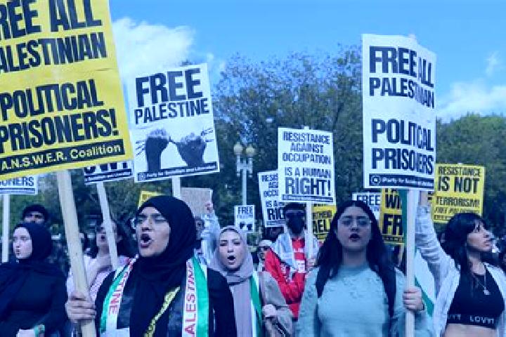 Escorts Bat A in, Palestine — Local Companions
