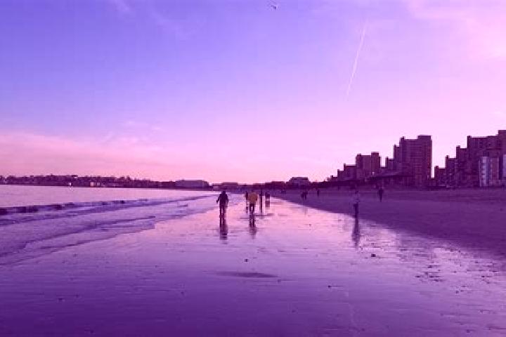 Escorts Bath Beach, United States — Local Companions