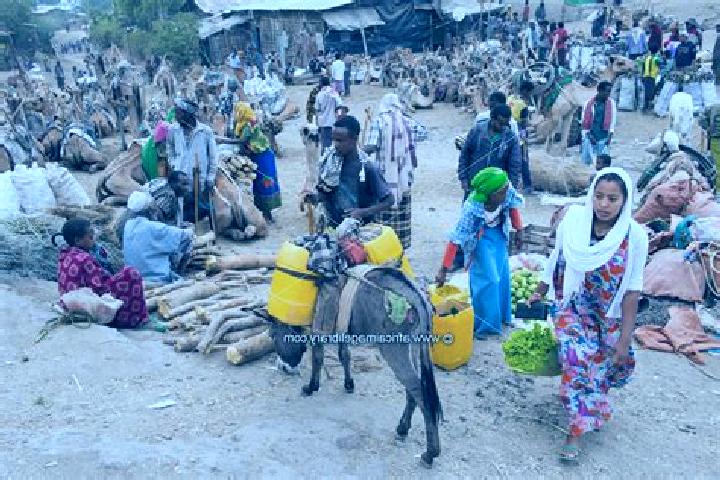 Escorts Bati, Ethiopia — Local Companions