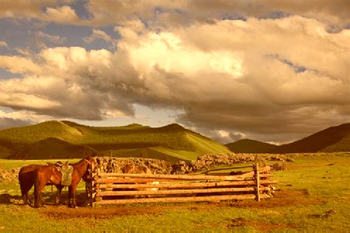 Escorts Bayan-Ovoo, Mongolia — Local Companions