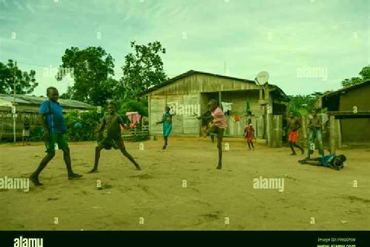 Escorts Bayanga, Central African Republic — Local Companions
