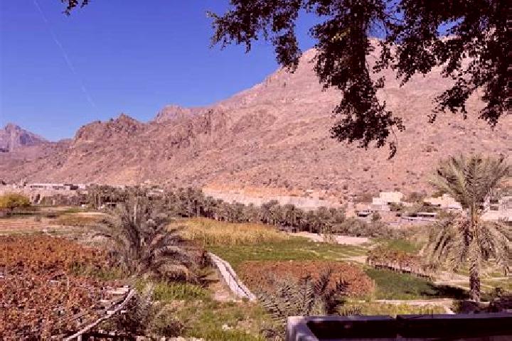 Escorts Bayt al Awabi, Oman — Local Companions