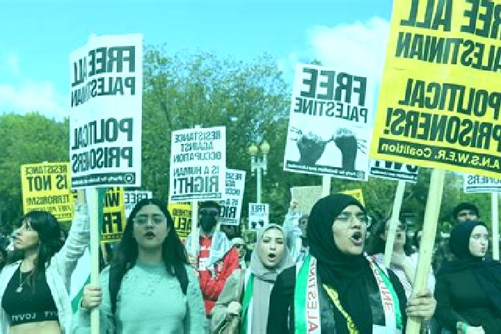 Escorts Bayt ar Rush al Fawqa, Palestine — Local Companions