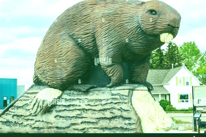 Escorts Beaverlodge, Canada — Local Companions