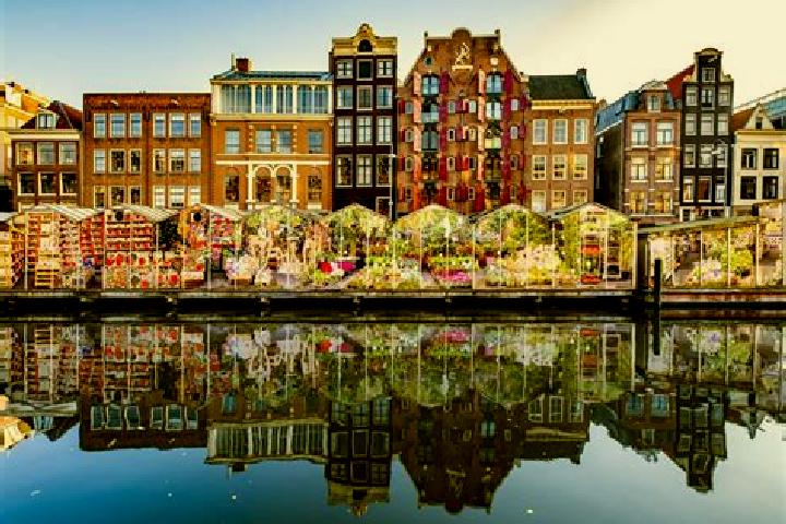 Escorts Beek, Netherlands — Local Companions