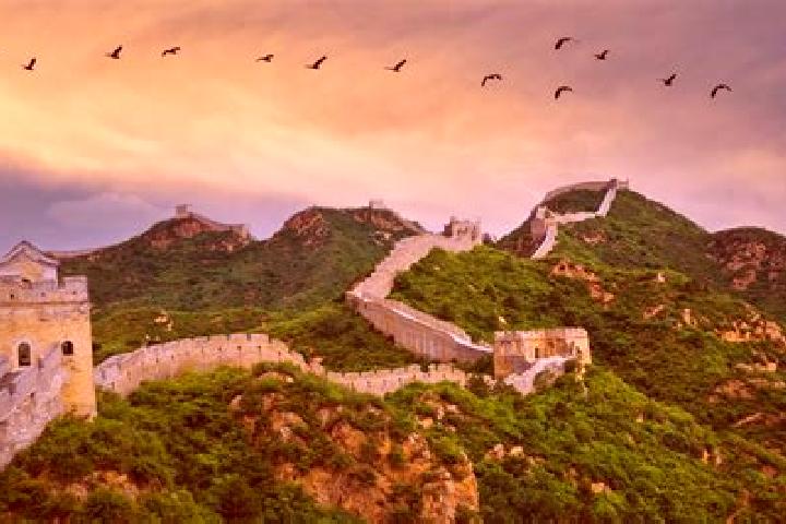 Escorts Beijiang, China — Local Companions