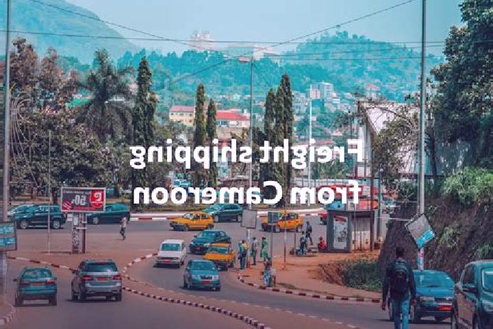 Escorts Bekondo, Cameroon — Local Companions