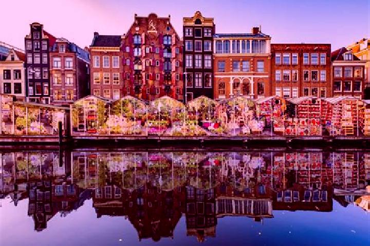 Escorts Belfort, Netherlands — Local Companions