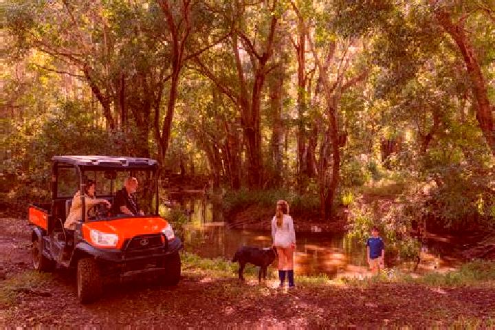 Escorts Belli Park, Australia — Local Companions