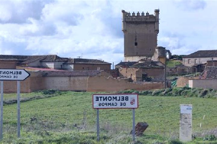 Escorts Belmonte de Campos, Spain — Local Companions
