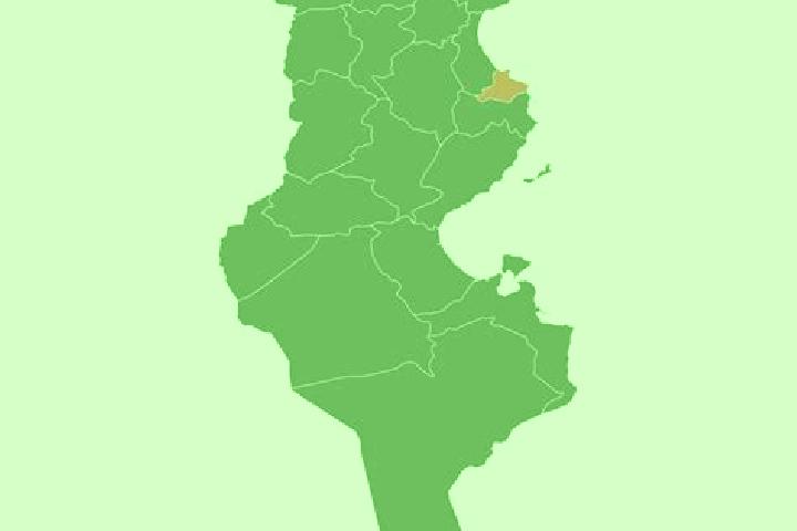 Escorts Ben Arous, Tunisia — Local Companions