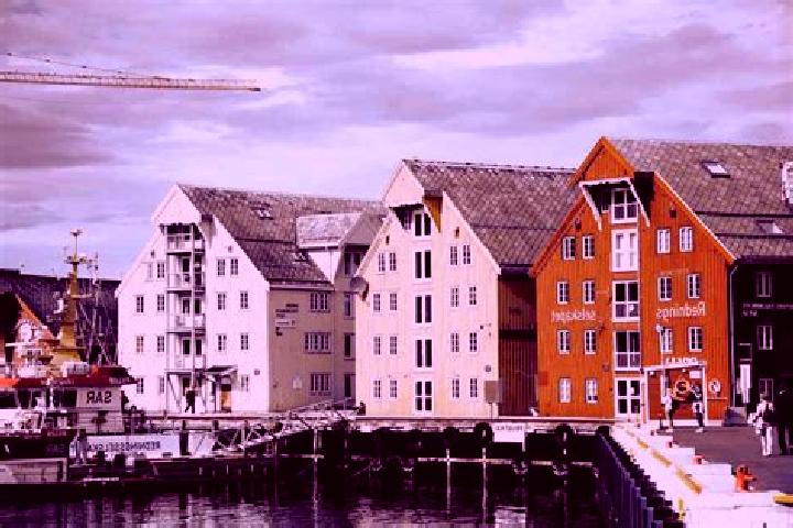 Escorts Bergen, Norway — Local Companions