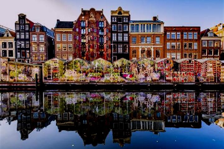 Escorts Bergschenhoek, Netherlands — Local Companions