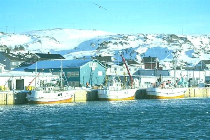 Escorts Berlevag, Norway — Local Companions