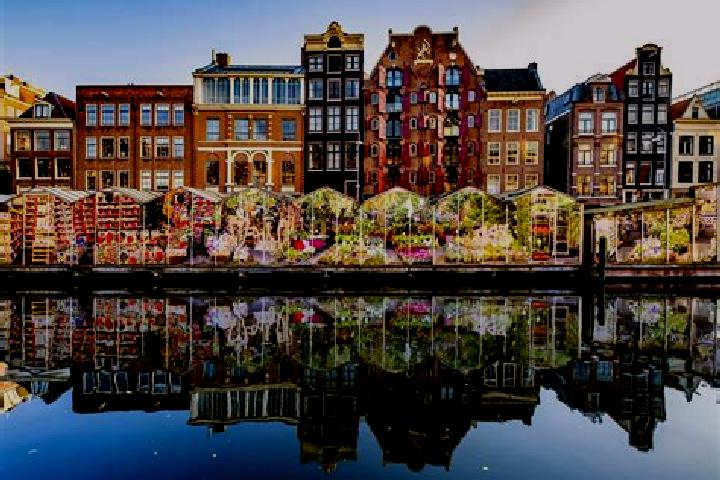 Escorts Berltsum, Netherlands — Local Companions