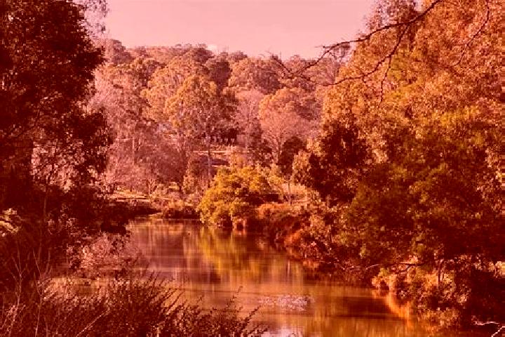 Escorts Berrima, Australia — Local Companions