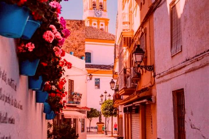 Escorts Berrocalejo, Spain — Local Companions