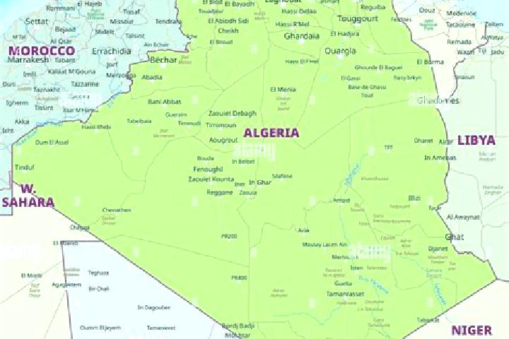 Escorts Berrouaghia, Algeria — Local Companions