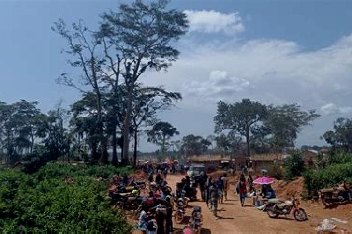 Escorts Betare Oya, Cameroon — Local Companions