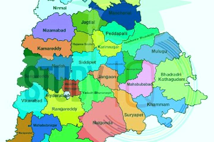 Escorts Bhainsa, India — Local Companions