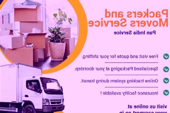 Escorts Bhimavaram, India — Local Companions