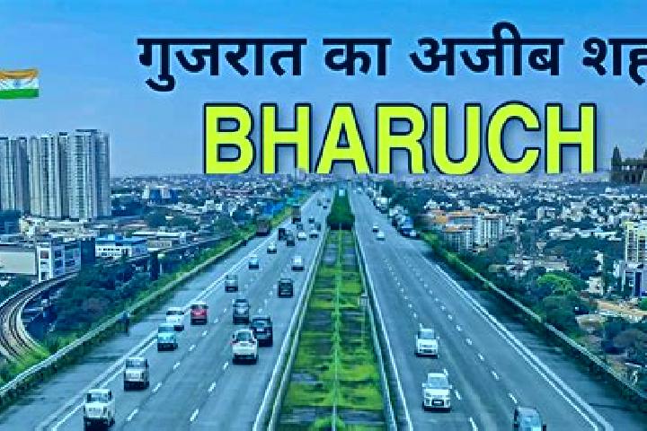 Escorts Bholav, India — Local Companions