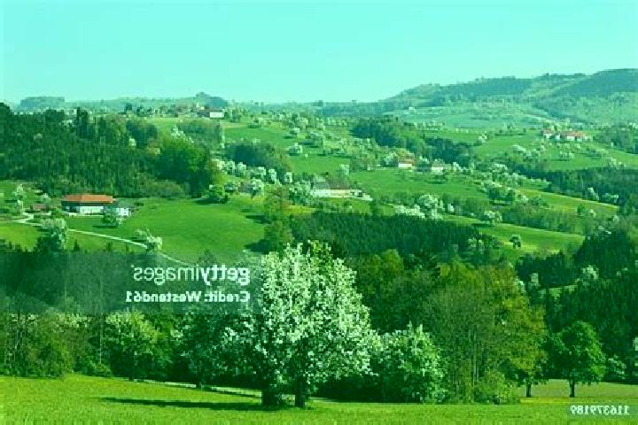 Escorts Biberbach, Austria — Local Companions