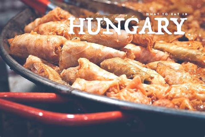 Escorts Bicske, Hungary — Local Companions