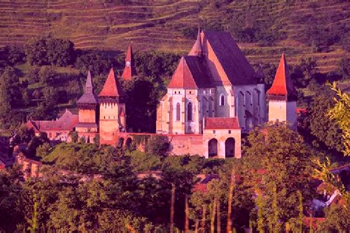 Escorts Biertan, Romania — Local Companions