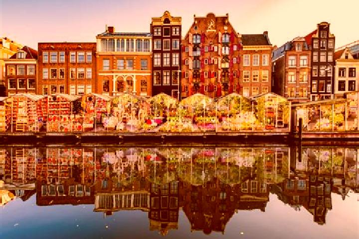 Escorts Bierum, Netherlands — Local Companions