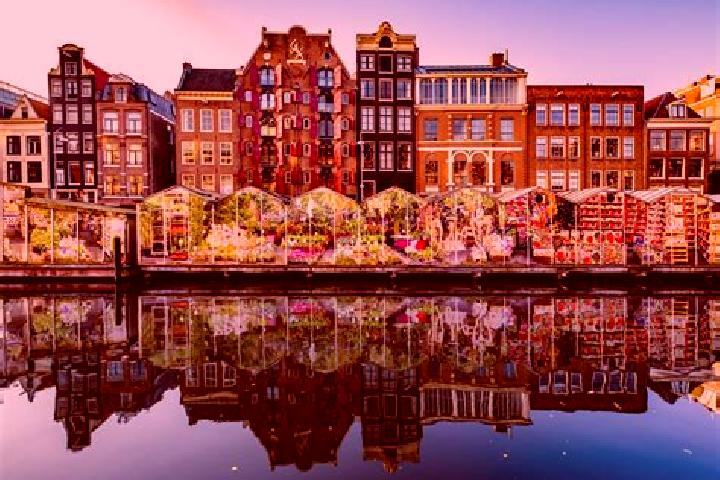 Escorts Biggekerke, Netherlands — Local Companions