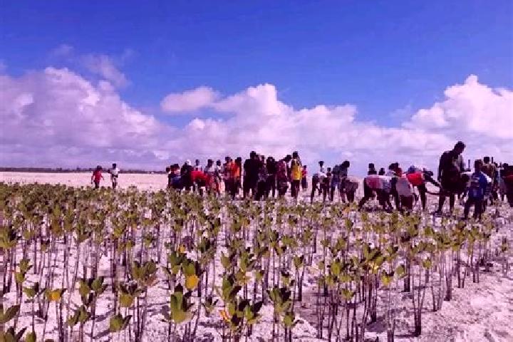 Escorts Bikenibeu Village, Kiribati — Local Companions