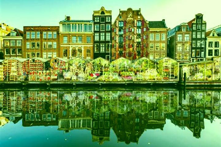 Escorts Bilthoven, Netherlands — Local Companions