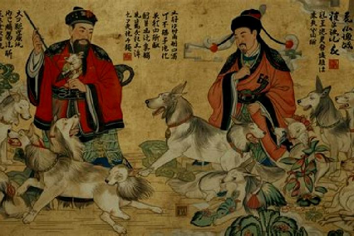 Escorts Bimu, China — Local Companions