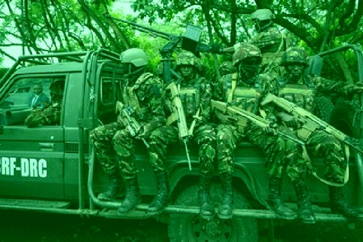 Escorts Binga, DR Congo — Local Companions