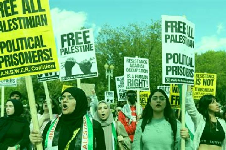 Escorts Bi r Awnah, Palestine — Local Companions
