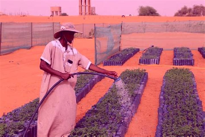 Escorts Bir Mogran, Mauritania — Local Companions