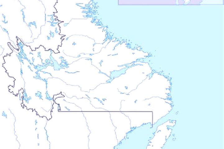 Escorts Birchy Bay, Canada — Local Companions