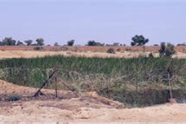 Escorts Birnin Gaoure, Niger — Local Companions