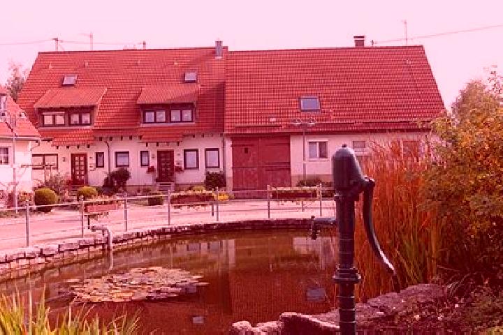 Escorts Bissingen an der Teck, Germany — Local Companions