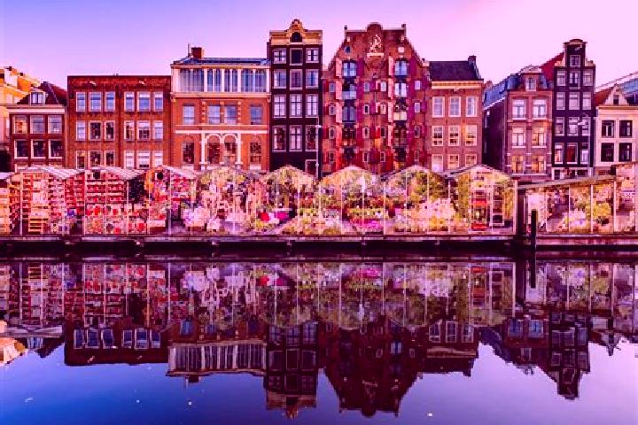 Escorts Blaarthem, Netherlands — Local Companions