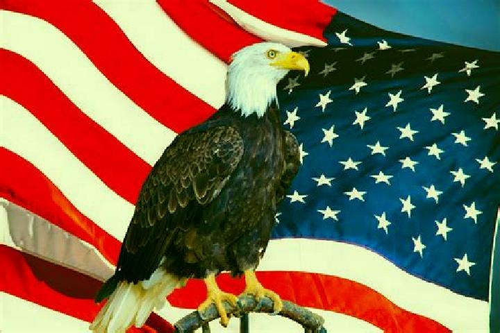 Escorts Black Eagle, United States — Local Companions