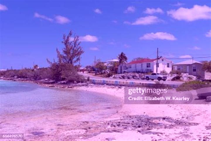 Escorts Black Point, Bahamas — Local Companions