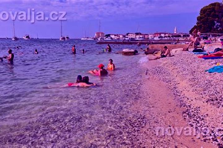 Escorts Blejska Dobrava, Slovenia — Local Companions