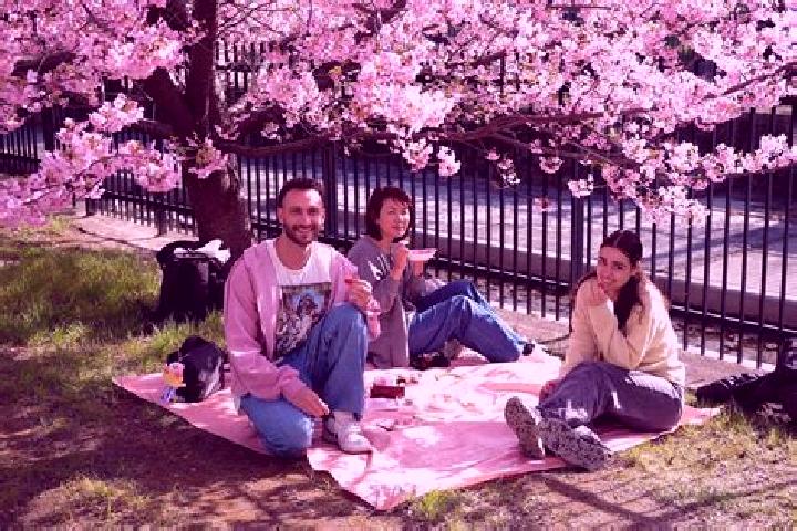 Escorts Blossom Park, Canada — Local Companions
