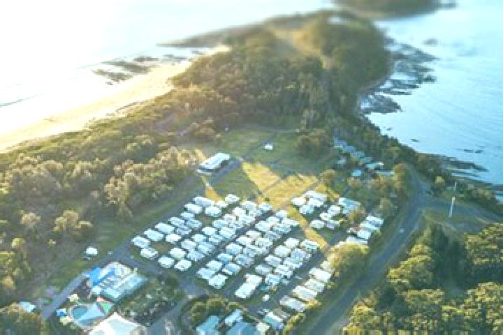 Escorts Blue Haven, Australia — Local Companions