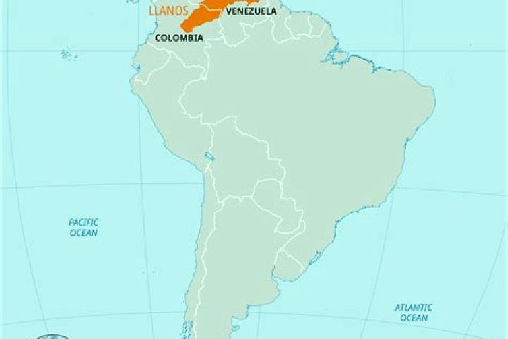 Escorts Boca de Rio, Venezuela — Local Companions